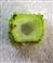  T.S. Stem-Quadrangular and hollow